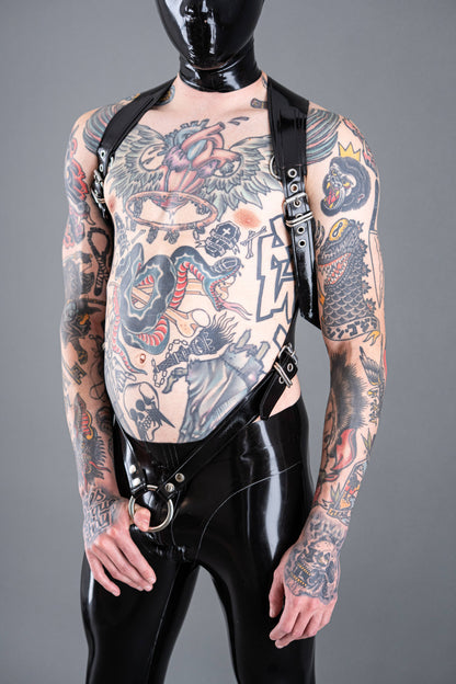 BACKPLATE HARNESS + Connecting Straps
