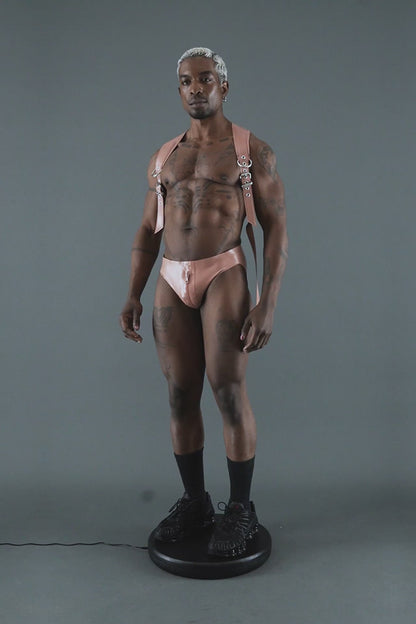 BACKPLATE HARNESS